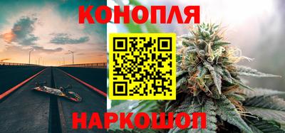 прущие грибы Пугачёв