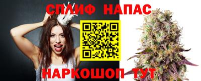 прущие грибы Пугачёв
