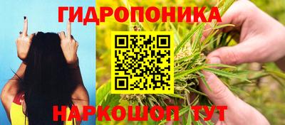 прущие грибы Пугачёв
