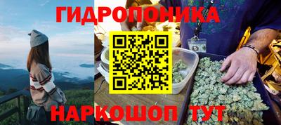 прущие грибы Пугачёв