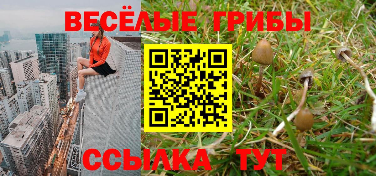 Псилоцибиновые грибы ЛСД Славгород